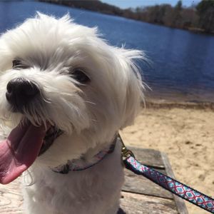 Meet your Posher, Heidi